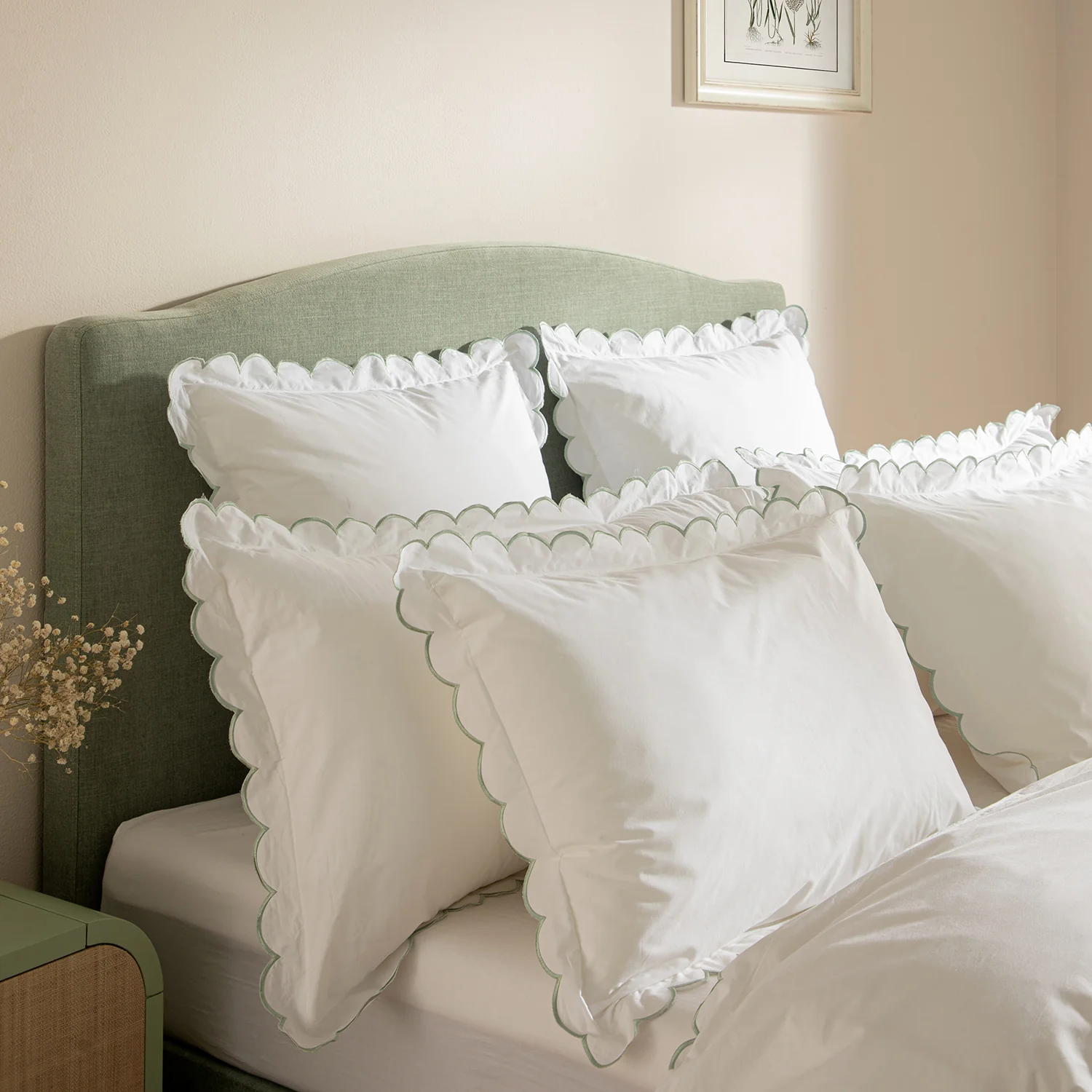 Margot Pistachio Green Embroidered Scallop 300 Thread Count Cotton Percale Continental Square Pillowcases - Pair - Image 2