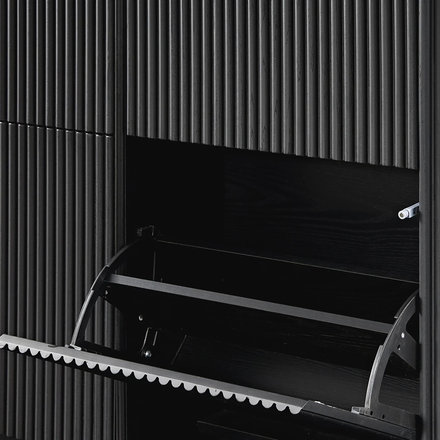 Maru 4-Door Shoe Storage Cabinet, Black - Image 16