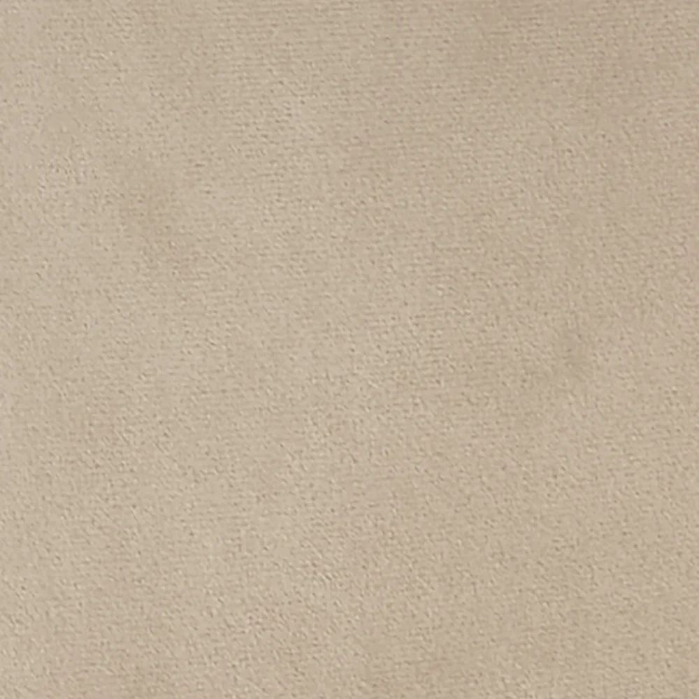 Oakley Set of 2 Champagne Velvet Upholstered Dining Chairs with Contrast Piping - Image 10